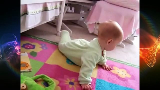 Учители и ученики. Смешные собаки учат детей ползать