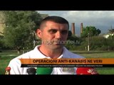 Operacioni anti-kanabis në Veri - Top Channel Albania - News - Lajme