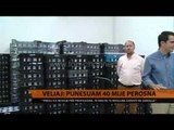 Veliaj: Punësuam 40 mijë persona - Top Channel Albania - News - Lajme