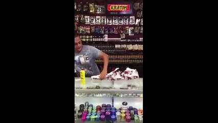 Pourquoi vous devriez acheter un bang en acrylique