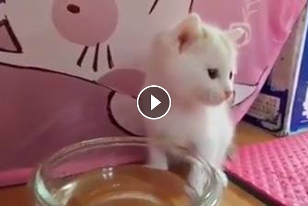 When you're hungry but your food is too hot(honey)