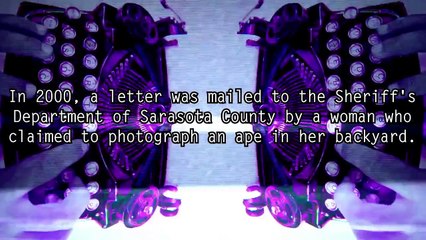 5 Most Mysterious Creatures in America