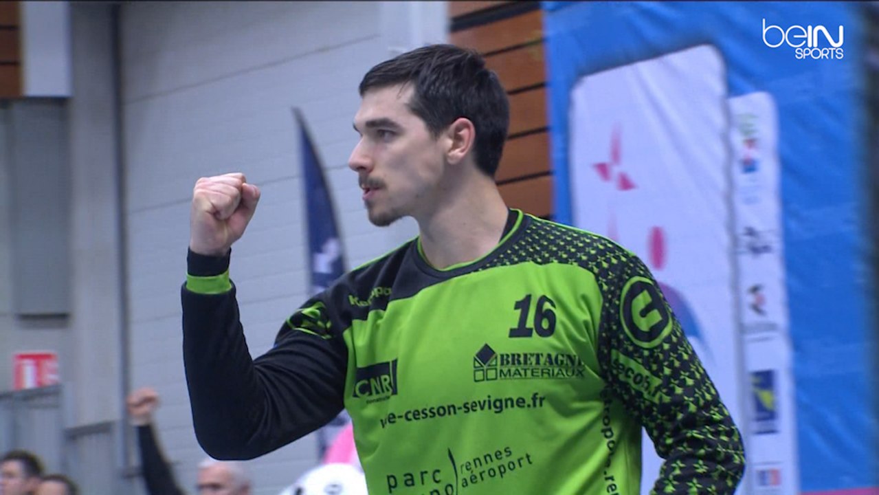 LNH D1 2015-2016 J11 CESSON-RENNES SAINT-RAPHAEL