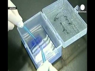 OBSH KONFIRMON SE ME SHUME SE 1900 PERSONA KANE VDEKUR NGA EBOLA NE AFRIKEN PERENDIMORE LAJM