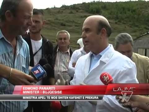 Ministria apel për sëmundjen e “gjuhës blu” - News, Lajme - Vizion Plus