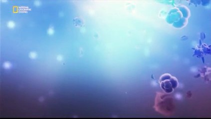 Dünyanın Merkezine Yolculuk 2.Bölüm