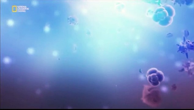 Dünyanın Merkezine Yolculuk 2.Bölüm