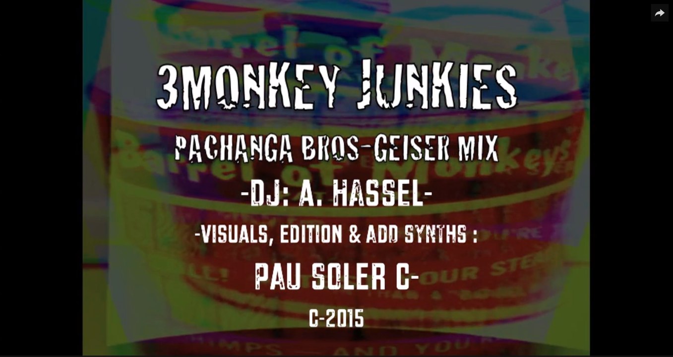 SAME HEADS  & 3MONKYJUNK-PAXANGABROSGEISERMINUS MIX / A . HASSEL  -  TRAKTOR CONTR.  &  SYNTHS -/- PAU SOLER C./ SYNTHS & VISUALS