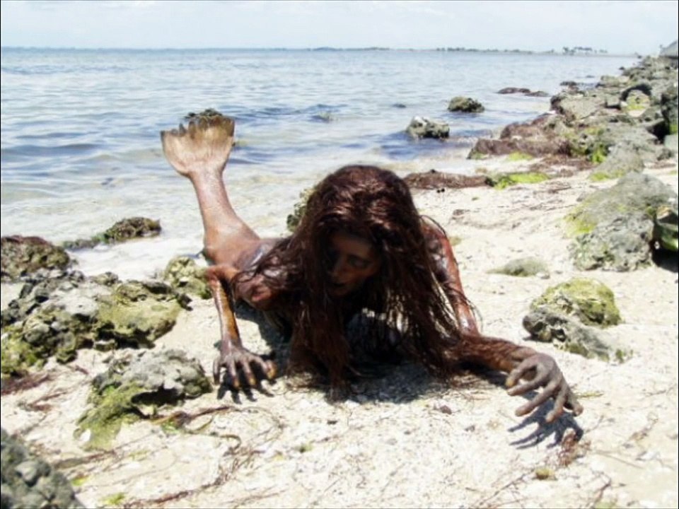 Real Mermaid Found - Proof of Mermaids Existence, Real of maerrmaid 2015