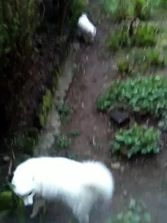 Jeyko et Jini, jardin 02/04/15