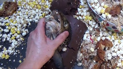 KFC POPCORN CHICKEN - VIDEO RECIPE