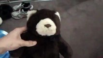 Calgary Hitmen 2012 Teddy Bear Toss - Watch 25,000 Bears Fly at Hockey Game