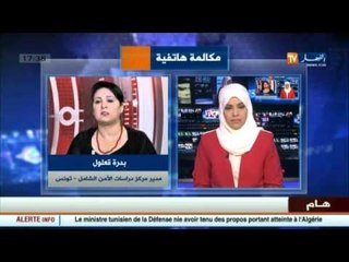 هذا ما قالته مديرة مركز دراسات الأمن الشامل بتونس حول تصريحات وزير الدفاع التونسي