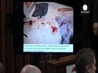 NE AFRIKEN E JUGUT PRITET ME MJAFT INTERES SHPALLJA FAJTOR OSE JO E OSCAR PISTORIUS LAJM