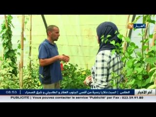 جنينة : عالم النباتات التي تغرس في الجردينة مع صاحب المشتلة "بشير"