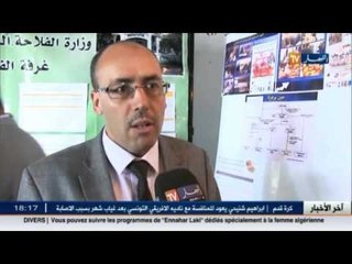 أم البواقي: توقعات ببذر 360 ألف هكتار من الأراضي الصالحة للزراعة