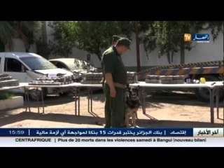 الدرك الوطني يحبط عملية ترويج للمخدرات بإتجاه الحدود الشرقية