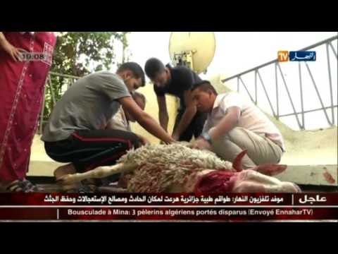 قناة النهار TV ترافق العائلة الجزائرية أثناء أول أيام عيد الأضحى ـ 2015 ـ