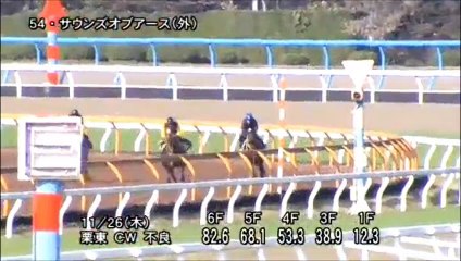 第35回 ジャパンカップ（GI）サウンズオブアース調教動画