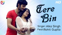 Tere Bin Full Video Song (2015) By Alka Singh ft. Rohit Gupta HD