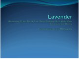 Lavender - Classic Rock Karaoke