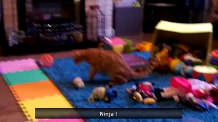 Le Zap de Spi0n n°288 - Zapping du Web