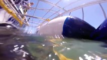 Des plongeurs en cage attaqués par un requin blanc