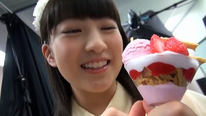 ハロプロまるわかりBOOK 2015 SUMMER DVD