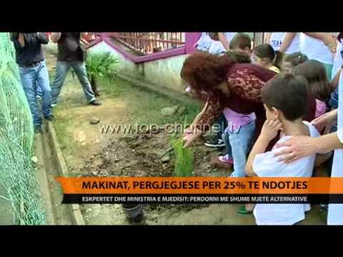 Makinat, përgjegjëse për 25 % të ndotjes - Top Channel Albania - News - Lajme