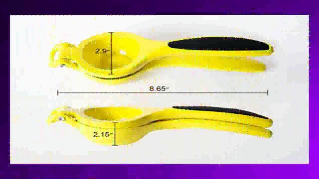 Best buy Citrus Juicers Lemon Squeezer Lemon Lime and Small Citrus Fruits Manual Juicer with NonSlip Easy Grip