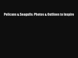 Pelicans & Seagulls: Photos & Outlines to Inspire [Read] Online