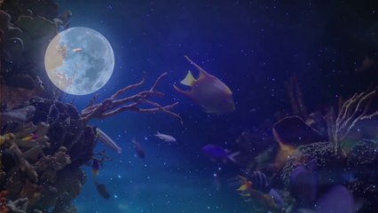 Compilation Paysage (Nature)