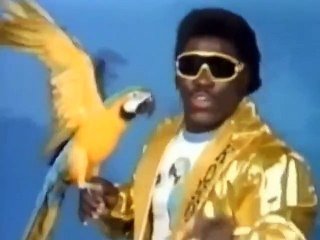 WWF - If You Only Knew