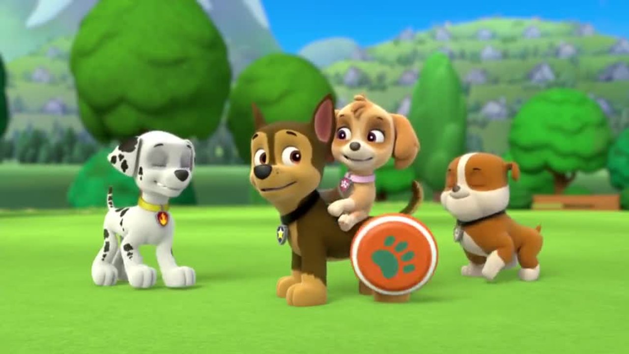 Paw Patrol Academy Game - Paw Patrol Cartoon Nick JR English - Paw Patrol full Episodes