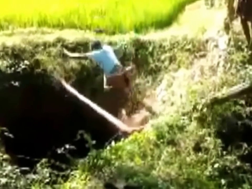 Funny Indian WhatsApp Videos    Indian Funny Videos Compilation India