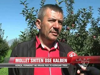 Korçë: Fermerët në rrugë, kërkojnë treg  - News, Lajme - Vizion Plus