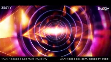 SONU NIGAM MASHUP -Dj Shadow Dubai & Zestty