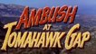 Ambush at Tomahawk Gap (1953) John Hodiak, John Derek, David Brian.   Western