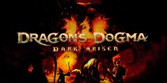 Dragon's Dogma Dark Arisen, Consejos para Principiantes
