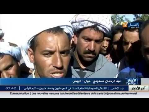 البيض : عصابات سرقة المواشي هاجس الموالين مع إقتراب عيد الإضحى