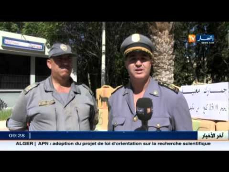 تلمسان: فرقة الجمارك لمغنية تحجز 15 قنطار من ال...