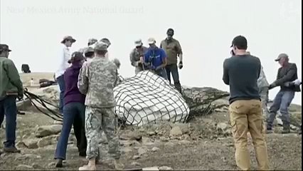 Dinosaur Remains Airlifted