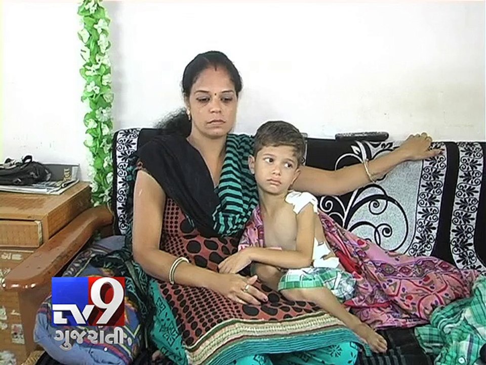 7-year-old boy attacked by family dog, Vadodara - Tv9 Gujarati