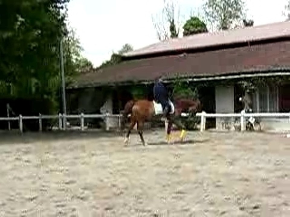 Koba pas