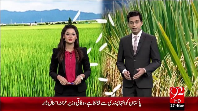 Chawal Kashat Karny Waly Zaimedar Bhi Wazeer-E-Azam Ki Nazer Karam Ki Muntazir – 27 Nov 15 - 92 News HD