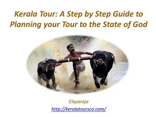 Kerala tour A Step by Step guide to planning your tour to the state of God