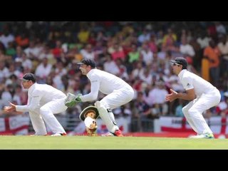 The Furred Umpire heads down the tunnel - or is that England's slip cordon?