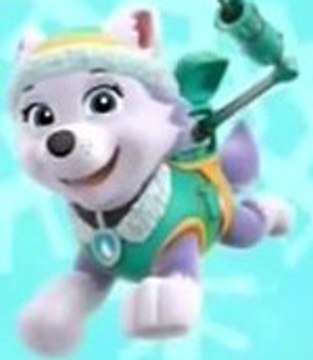 Paw Patrol Espanol Games Birthday Christmas 2015, Paw Patrol Episodes Eggs Cake Names Full_1