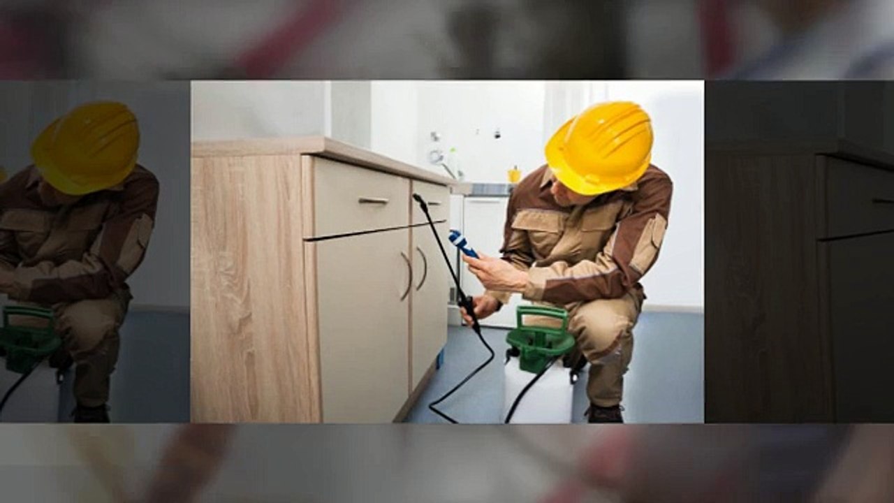 Pest Control