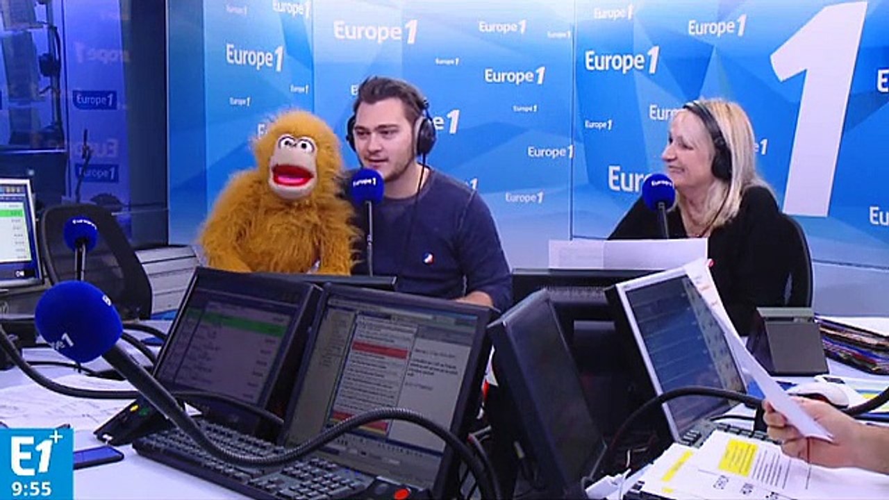 Le singe producteur de Tom Villa